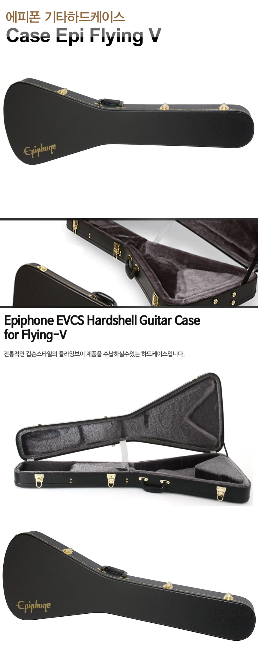 epiphone flying v case